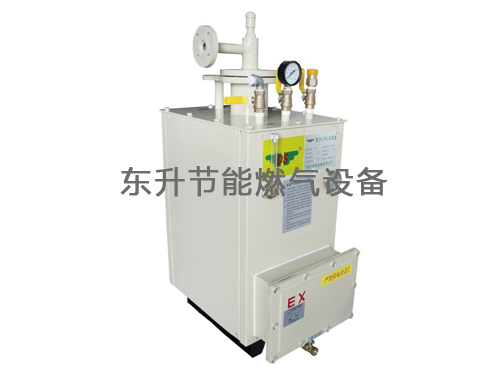 蜜桃视频在线观看免费网址入口(LPG)防爆型蜜桃国产AV色吧器(DS30—50kg／h)