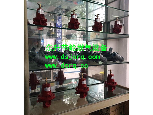 蜜桃视频在线观看免费网址入口蜜桃国产AV色吧爐  燃氣減壓閥